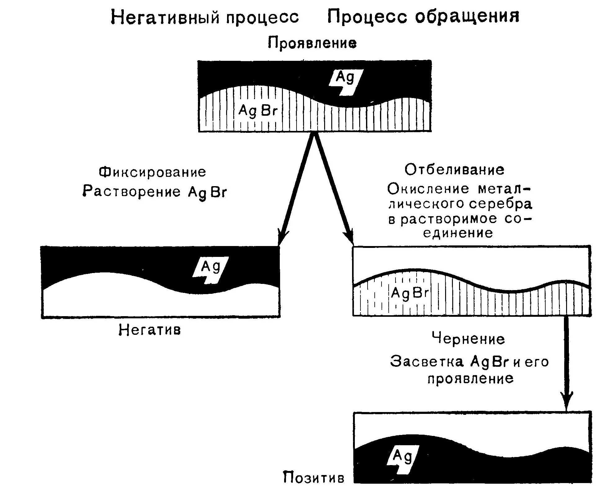Схема процессов получения негативного и позитивного обращенного изображений на черно-белом фотоматериале